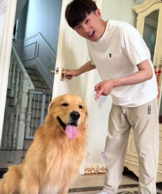 Golden retriever greeting owner